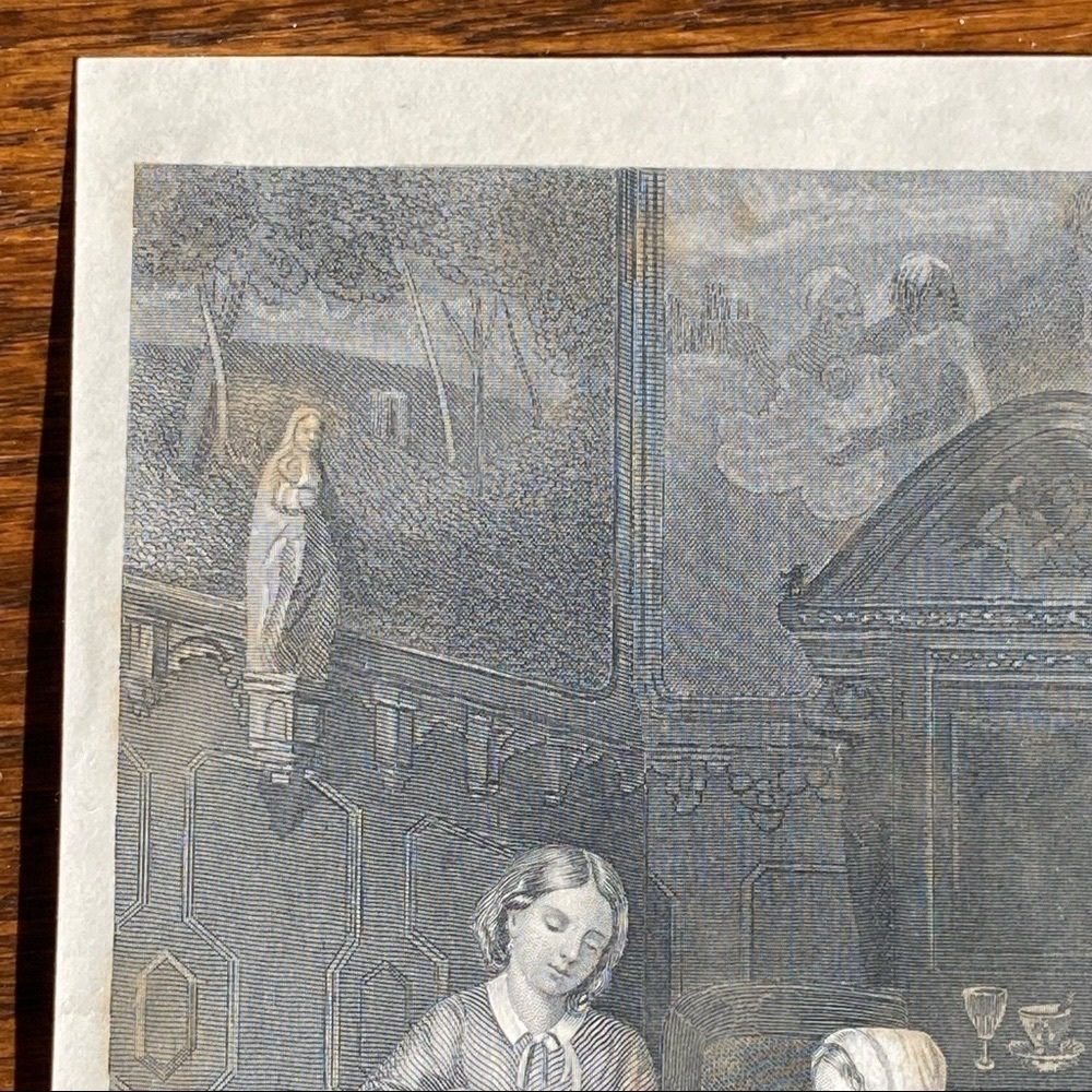 Olive Plants 8.25" x 5.25" Antique Engraving/Print - Picture 5 of 9